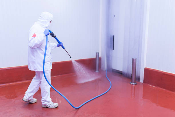 Trusted Greenville, NY Pressure Washing Services Experts
